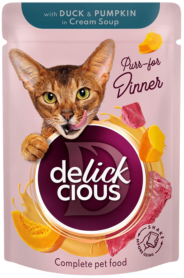 Paski z kaczką i dynią w kremowej zupie 